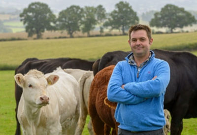 Asda Beef Group